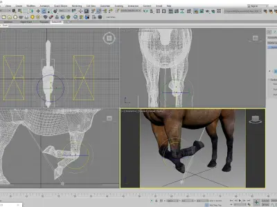 Realistic Rigged Horse  3D model