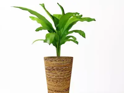 Decorative Plant Pot 3D model purchase