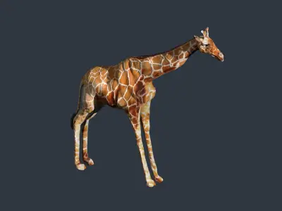 giraffe 3D model