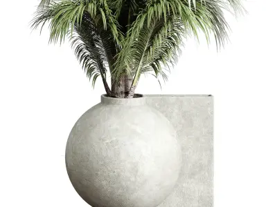 Monstera and Palm set Plants in concrete dirt vase 205 3D model
