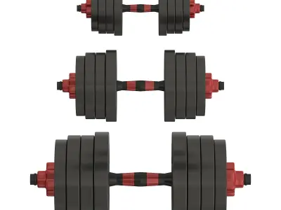 DUMBBELLS 3D model