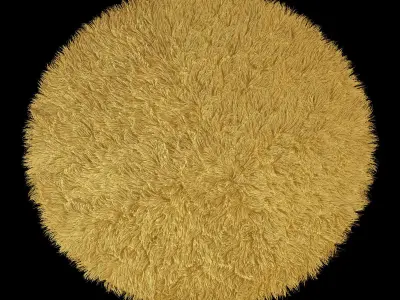 Round carpet 3D model