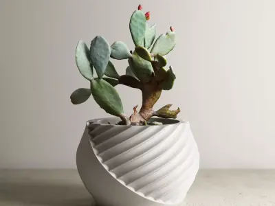 pot g55 3D print model  3D print model