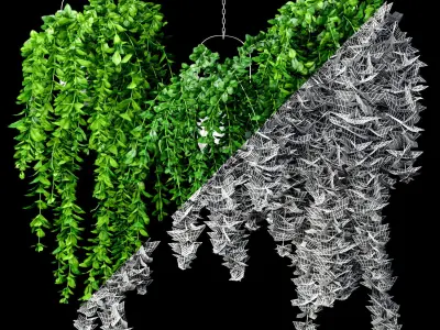Artificial Trailing Plant Set 3D model