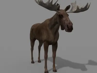 Virtual Moose 3d model 3D model