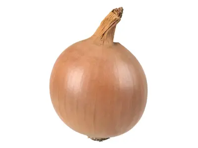Photorealistic Onion 3D Scan 3D model