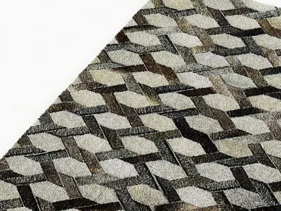 Restoration Hardware Link Cowhide Rug 3D model