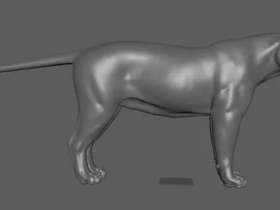 Tiger Low-poly 3D model