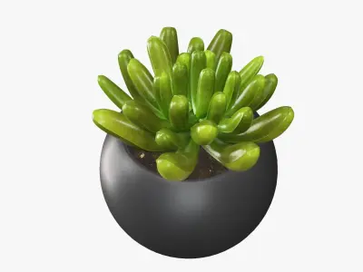 Potted plant decorative 01 3D model