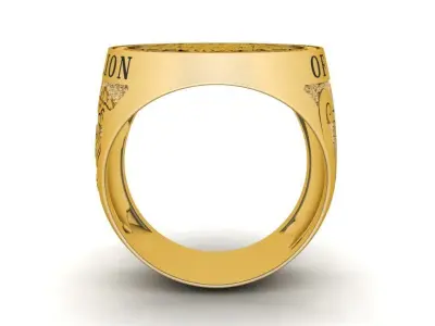 The Lion RIng 3D print model