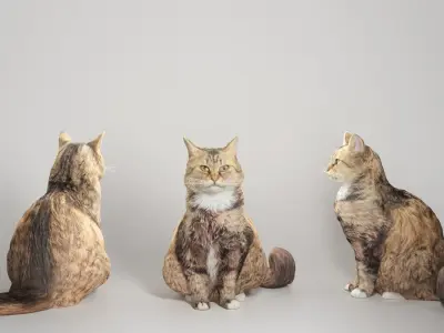 Fluffy cat 15 Low-poly 3D model