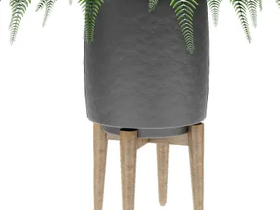 Plant in Pot Flowerpot Exotic Plant 3D model 12