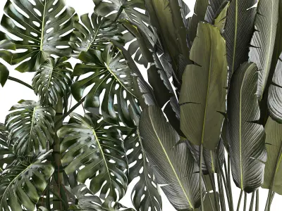 Set of beautiful plants and trees in pots for decoration 1322 3D model