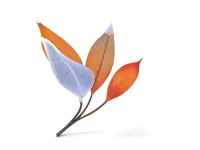 Vibrant Gradient Leaf model pack Low-poly 3D model