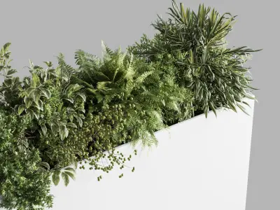 plastic box plants on stand - set indoor plant 389 Low-poly 3D model