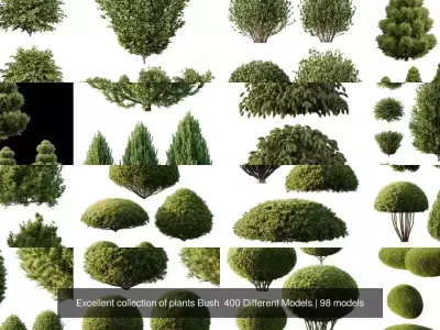 Excellent collection of plants Bush  400 Different Models