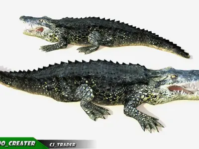 LowPoly Crocodile Beast Rigged 3d model Low-poly 3D model