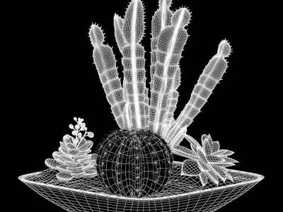 Arranjo canoa de suculentas 3D model