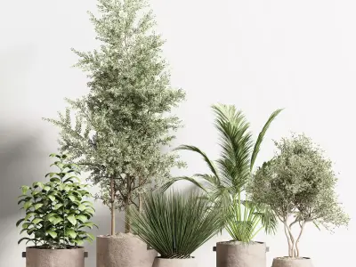 indoor plant stant 80 3D model