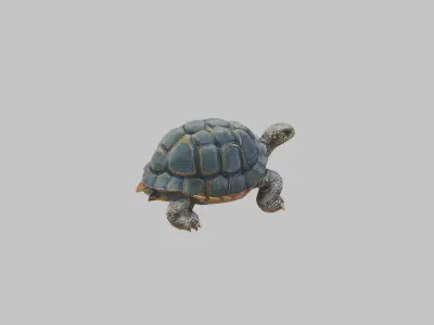 Detailed Lowpoly Tortoise Low-poly 3D model