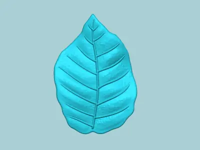 European Beech Leaf - Molding Artificial EVA Craft 3D print model