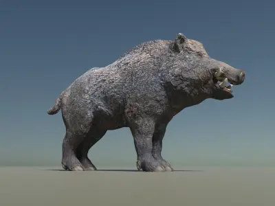 Wild Boar Low-poly Low-poly 3D model