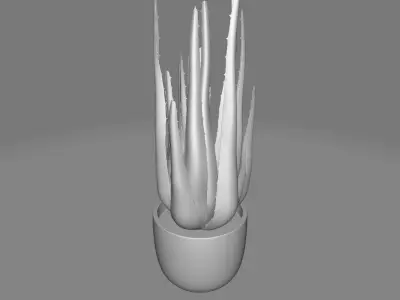 STORIES DESKTOP SUCCULENT PLANT IN POT 3D model