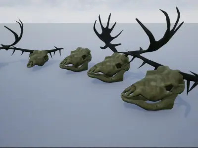 Animal Skulls and Antlers Low-poly 3D model