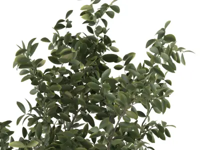 decoration flower-02 Low-poly 3D model