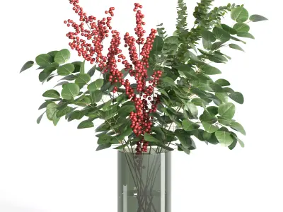 Decorative Plants 01 3D model