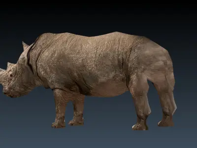 Rinosaurs rhinoceros Low-poly 3D model