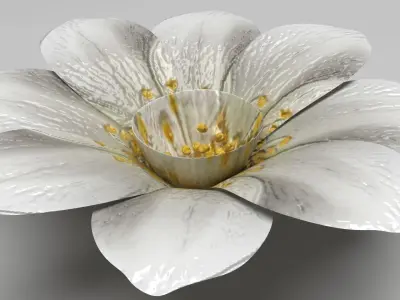 Vanilla Flower 3D model