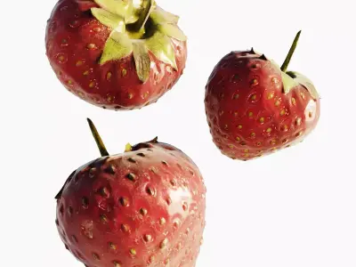 Scanned Strawberry Berry Low-poly 3D model buy