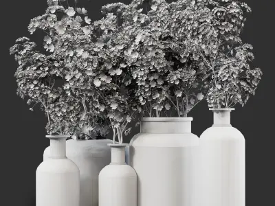 Collection Indoor Plants 014 3D model