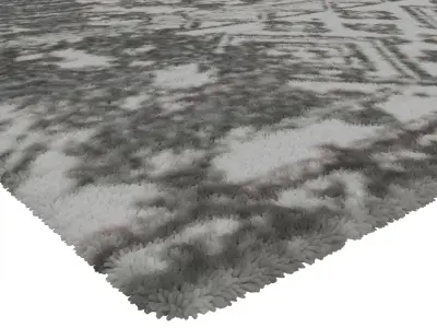 Rug Set 1521 3D model