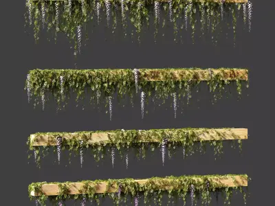 Wisteria blooming plant for beams or ceilings 3D model