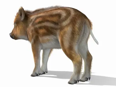 Wild Boar - Young Low-poly 3D model