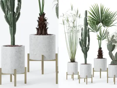 Plants collection 123 3D model