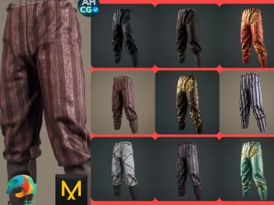 Medieval Fantasy Pants DAZ Genesis 9 8 ZPRJ MARVELOUS DESIGNER 3D model