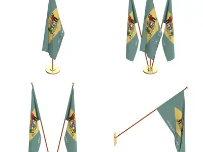 Delaware Flag Pack 3D model