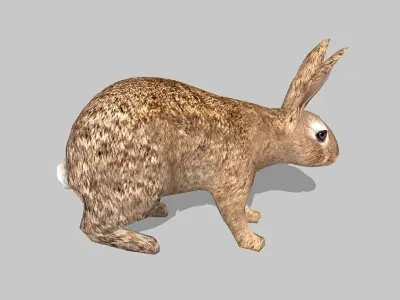 rabbit bunny Low-poly 3D model