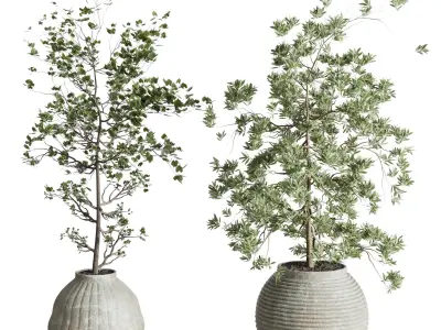 Collection indoor plant 240 pot Tree Bush Concrete Dirty Vase 3D model