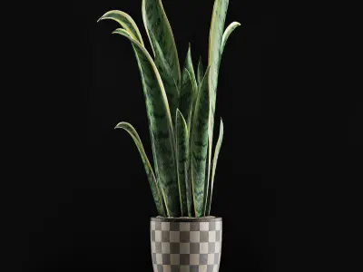 Plants Collection 44 3D model
