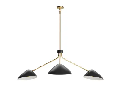 Bowed Chandelier 3D model