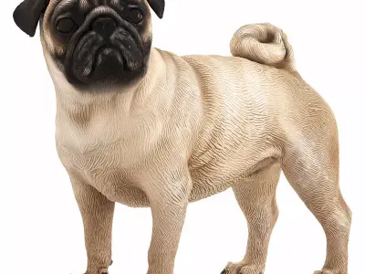 Pug dog figurine 3D model