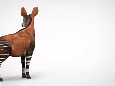 OKAPI antelope Low-poly 3D model