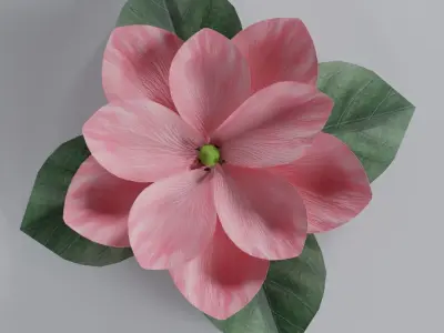 3D Magnolia Flower Model - Blender Low-poly 3D model