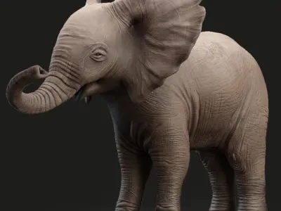 Elephant Baby Rigged 8K Low-poly 3D model