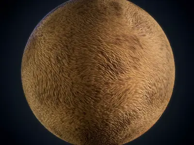 Fur - Vol 01 - SBsar - Maps Texture