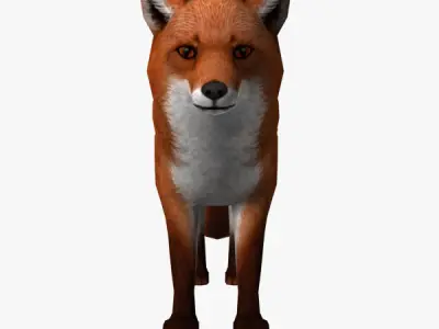 Fox Model Low-poly 3D model